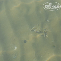 фото из отзыва ID 740530