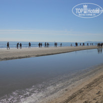 фото из отзыва ID 740530