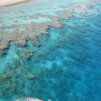 фото из отзыва ID 740596