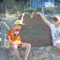 фото из отзыва ID 740687