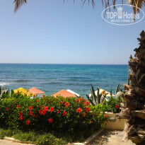 фото из отзыва ID 740920