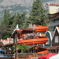 фото из отзыва ID 741000