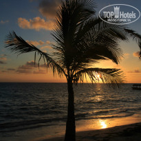 фото из отзыва ID 741042