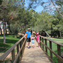 фото из отзыва ID 741111