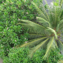 фото из отзыва ID 741189