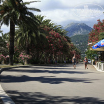 фото из отзыва ID 741252