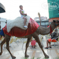 фото из отзыва ID 741240