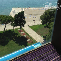 фото из отзыва ID 741365