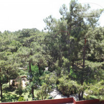 фото из отзыва ID 741696