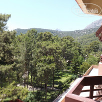 фото из отзыва ID 741696