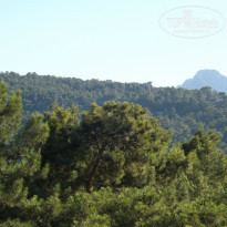 фото из отзыва ID 741696