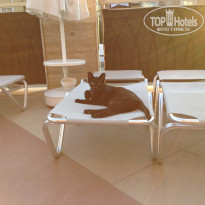 фото из отзыва ID 741743