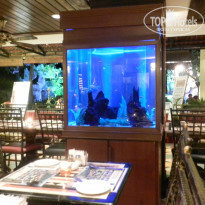 фото из отзыва ID 741976