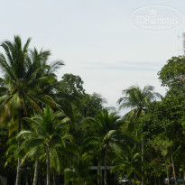 фото из отзыва ID 741976