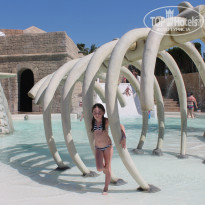 фото из отзыва ID 741111