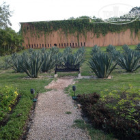 фото из отзыва ID 741120