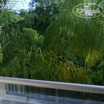 фото из отзыва ID 741120