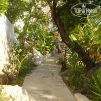 фото из отзыва ID 742619