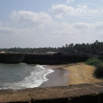 фото из отзыва ID 742623