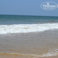 фото из отзыва ID 742623