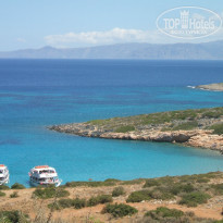 фото из отзыва ID 742845