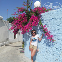 фото из отзыва ID 742063