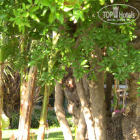 фото из отзыва ID 743054