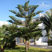 фото из отзыва ID 743597