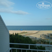 фото из отзыва ID 743621