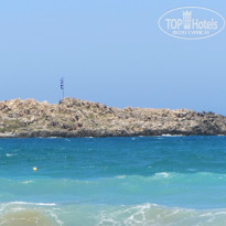 фото из отзыва ID 743701