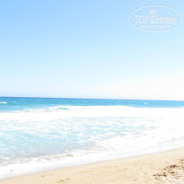 фото из отзыва ID 743701