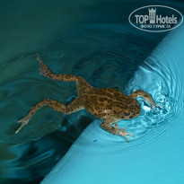 фото из отзыва ID 743783