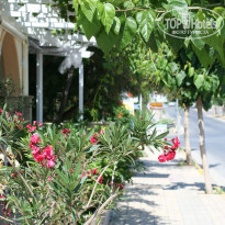 фото из отзыва ID 743804