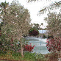 фото из отзыва ID 743929