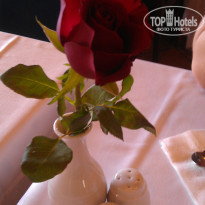 фото из отзыва ID 743929