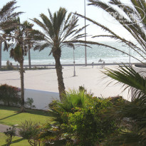 фото из отзыва ID 743929