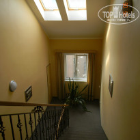 фото из отзыва ID 743751