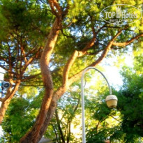 фото из отзыва ID 74325