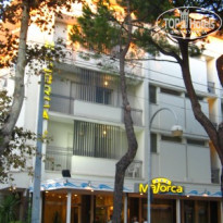 фото из отзыва ID 74325