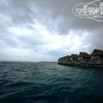 фото из отзыва ID 74332