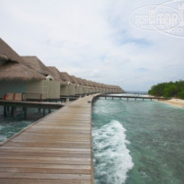 фото из отзыва ID 74332