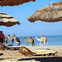 фото из отзыва ID 74395