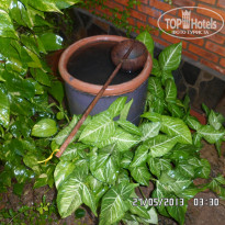 фото из отзыва ID 744155