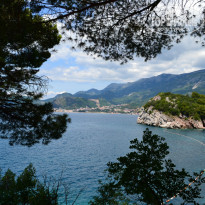 фото из отзыва ID 744331