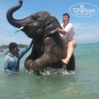 фото из отзыва ID 744349