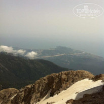 фото из отзыва ID 744379