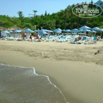 фото из отзыва ID 744395