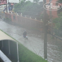 фото из отзыва ID 744556