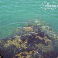 фото из отзыва ID 744789