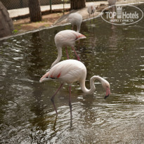 фото из отзыва ID 744354